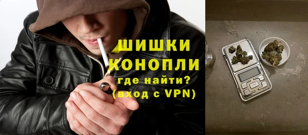 гашик Нефтекумск