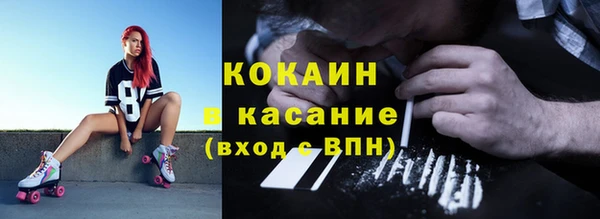 гашик Нефтекумск