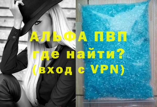 гашик Нефтекумск